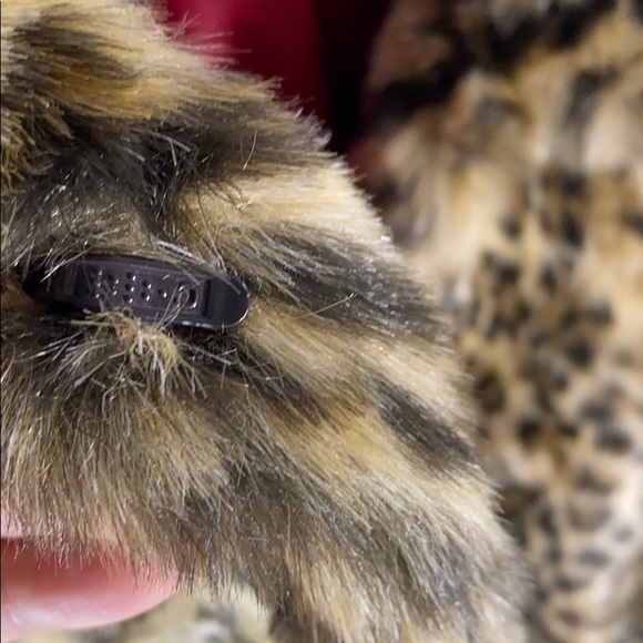 Express Leopard print jacket - Picture 5 of 6